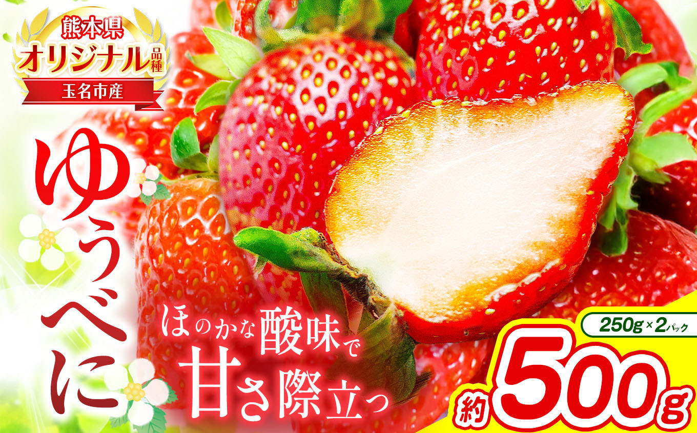 
                  熊本 玉名産 いちご ゆうべに 約500g （ 250g×2パック ） ｜ 果物 くだもの フルーツ イチゴ 苺 熊本県 玉名市
                
