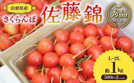 【先行予約 令和7年度発送】山形県産 さくらんぼ 佐藤錦 約1kg（500g×2パック）秀品以上 L～2Lサイズ FSY-0692