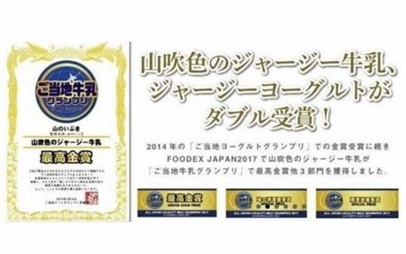 【6ヶ月定期便】 山吹色のジャージーヨーグルトセット 定期便 山吹色のジャージーヨーグルト 飲むヨーグルト 150ml 12本 6回 ヨーグルト ジャージーヨーグルト ジャージー牛乳  乳製品 乳飲料