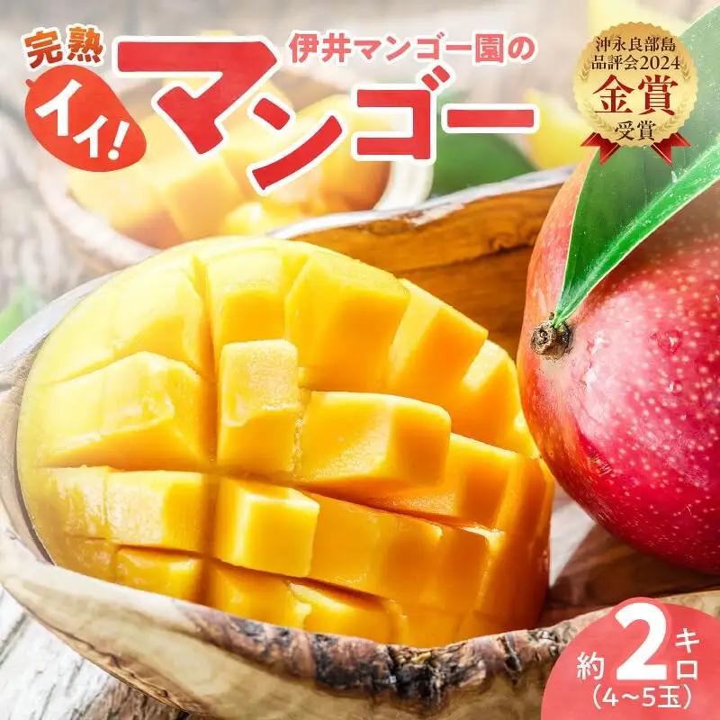 【 2027年先行予約 】伊井マンゴー園のイイ！マンゴー 約2キロ（4～5玉） C026-003 マンゴー 完熟マンゴー
