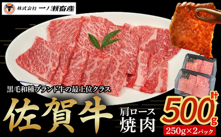 佐賀牛肩ロース焼肉 250g×2パック　牛肉 肉 牛 佐賀牛 ブランド牛 黒毛和牛 肩ロース 焼肉 焼き肉 BBQ バーベキュー 国産 国産牛 冷凍 佐賀県 太良町 OD5x1
