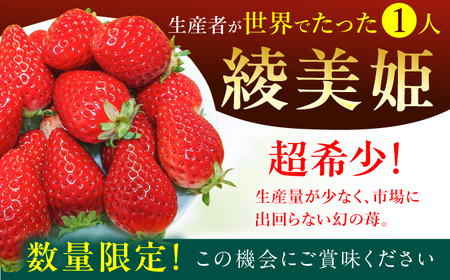 【先行予約 2025年2月より発送】 〈幻のイチゴ〉綾美姫270g×2  いちご 苺 果物 フルーツ 人気 希少 広川町 / 石川農園[AFCC001]