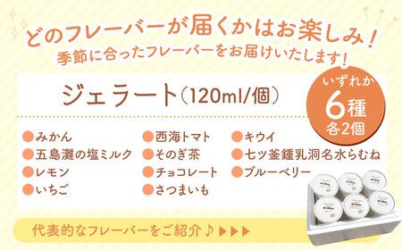 【年中人気】【6回定期便】 おまかせジェラート  12個 ＜みかんドーム＞ [CAI035]