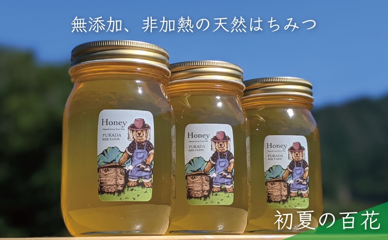 【先行予約 2025年6月30日より発送】合計1800g 天然蜂蜜 国産蜂蜜 非加熱 生はちみつ 岐阜県 美濃市産 初夏 (蜂蜜600g入りガラス瓶3本セット)B7 深田養蜂のハチミツ