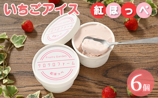 いちごアイス6個セット（紅ほっぺ）苺アイス、イチゴアイス、べにほっぺ　アイス　アイスクリーム　カップアイス　※離島への配送不可
