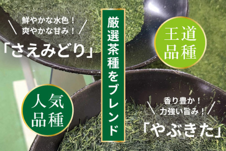 お茶 ティーバッグ 特撰 みやざき煎茶 紐付き 5袋 セット [谷岩茶舗 宮崎県 日向市 452061627] 