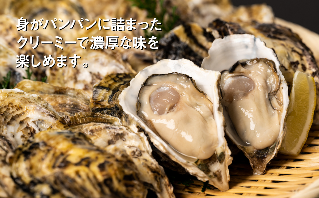 【先行予約】 牡蠣 鏡オイスター 生食用 3kg オイスター 生かき 新鮮 おつまみ BBQ 【2025年12月中旬より順次発送】