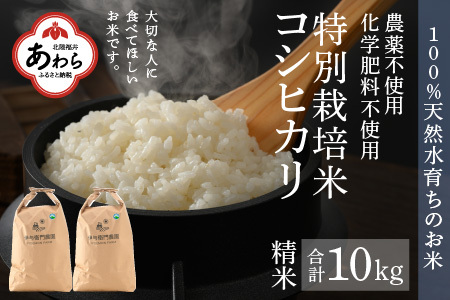 【令和6年産 新米】コシヒカリ 精米 10kg 特別栽培米 5kg×2袋 化学肥料不使用  ＜温度と湿度を常時管理し新鮮米を出荷！＞ / 伊与衛門農園の特別栽培米 高品質 鮮度抜群 福井県 あわら市産 ブランド米 R6 北陸 白米 お米 ご飯