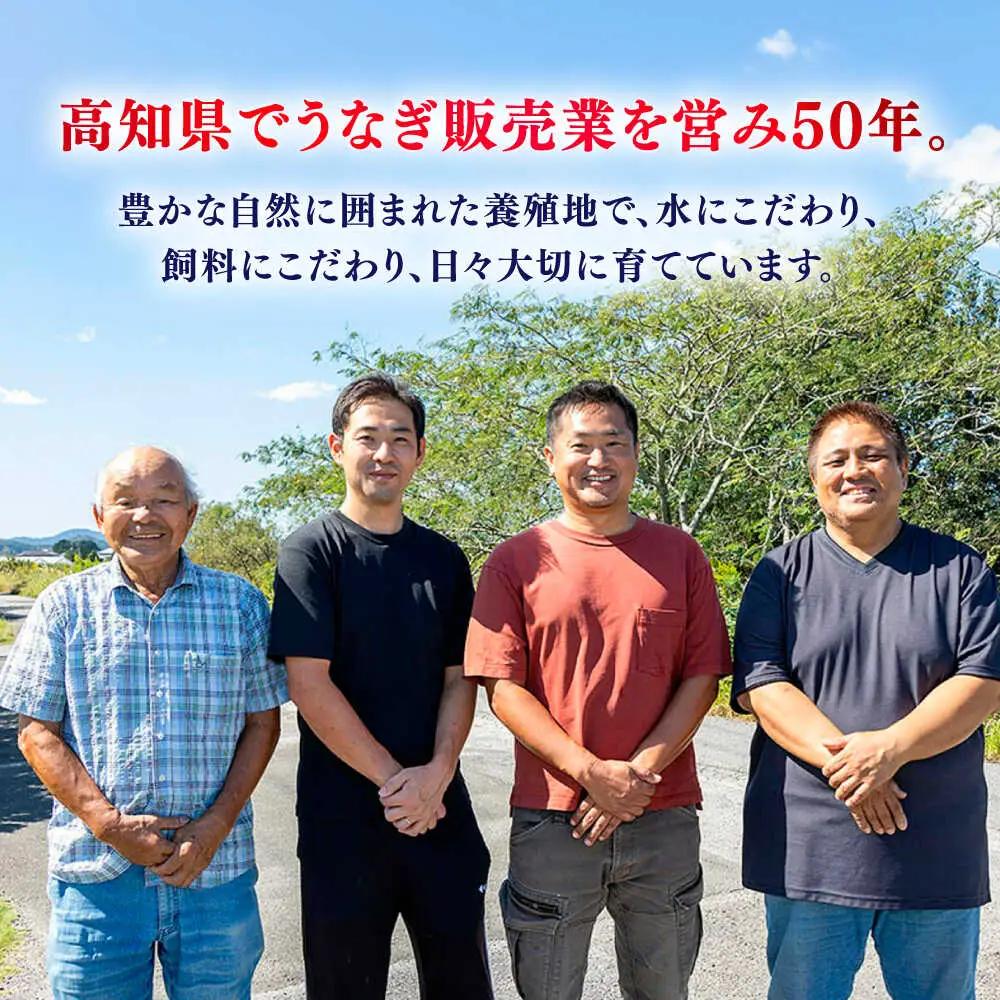【6回定期便】 極上国産うなぎ四万十桜 蒲焼き3尾 たっぷり大サイズ / 国産 高知 四万十 うなぎ ウナギ 鰻 蒲焼き うな重 惣菜 贅沢 【有限会社もりた】[ATHE010]