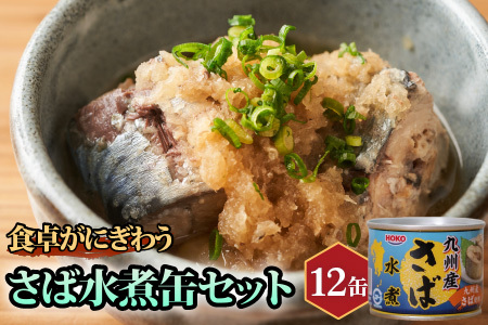 缶詰 サバ缶（水煮）12缶セット 缶詰 鯖 さば【B2-108】