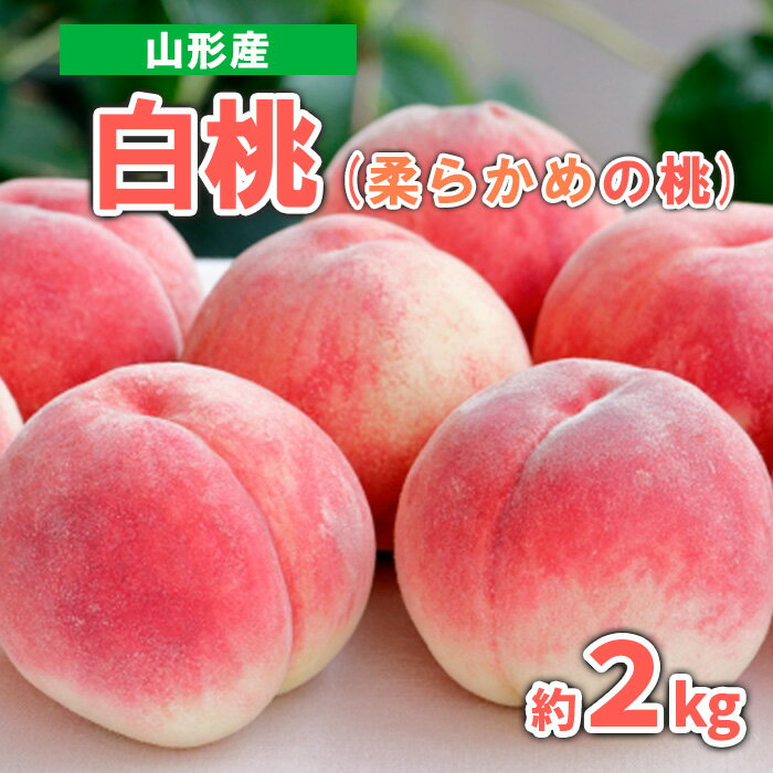 【ふるさと納税】山形産 白桃 (柔らかめの桃)　約2kg 秀品 【令和7年産先行予約】FS23-717 くだもの 果物 フルーツ 山形 山形県 山形市 2025年産