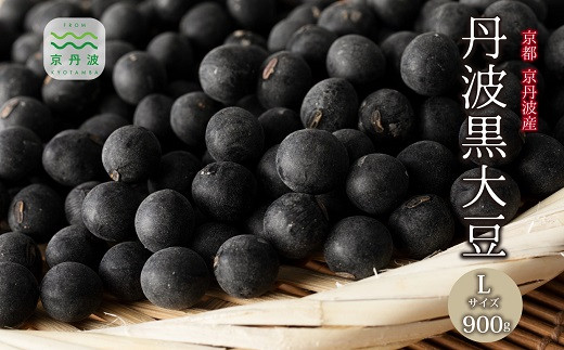 
            丹波黒大豆 Lサイズ 900g （300g×3袋） 京丹波町産 京都 丹波 黒大豆 黒豆 生豆 令和7年度産 生産者限定 国産 お取り寄せ ご当地グルメ [024KK001]
          