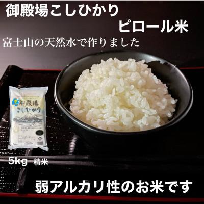 ふるさと納税 御殿場市 ピロール米御殿場こしひかり　5kg(精米)