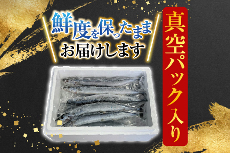 【北海道根室産】冷凍さんま40尾 C-36002