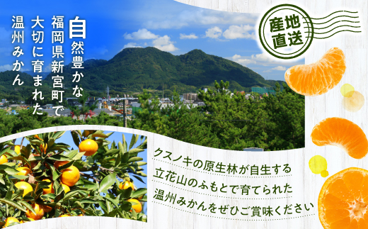 AA074.温州みかん（5kg程度）／2024年11月～2025年1月配送
