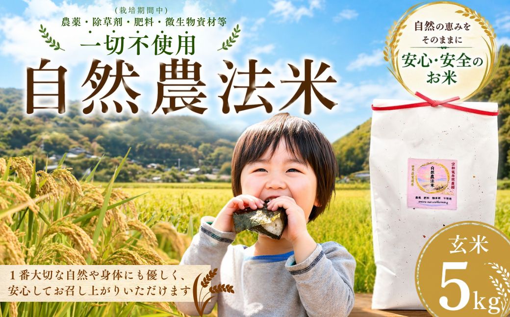 【大分県産】 自然農法 玄米 5kg | お米 豊後高田市