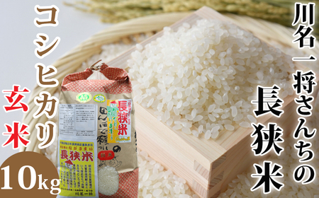 【令和6年産】川名一将さんちの長狭米　コシヒカリ10kg【玄米】 [0028-0003]