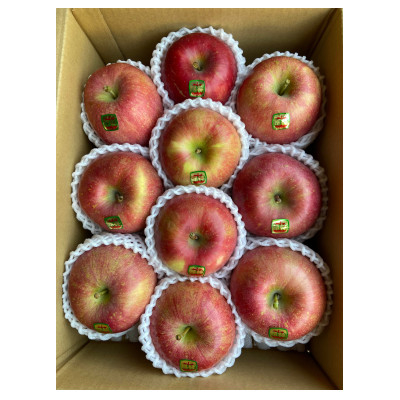 
            ＜令和7年10月上旬頃発送開始＞青森りんご「葉取らず昂林」約3kg【1118132】
          