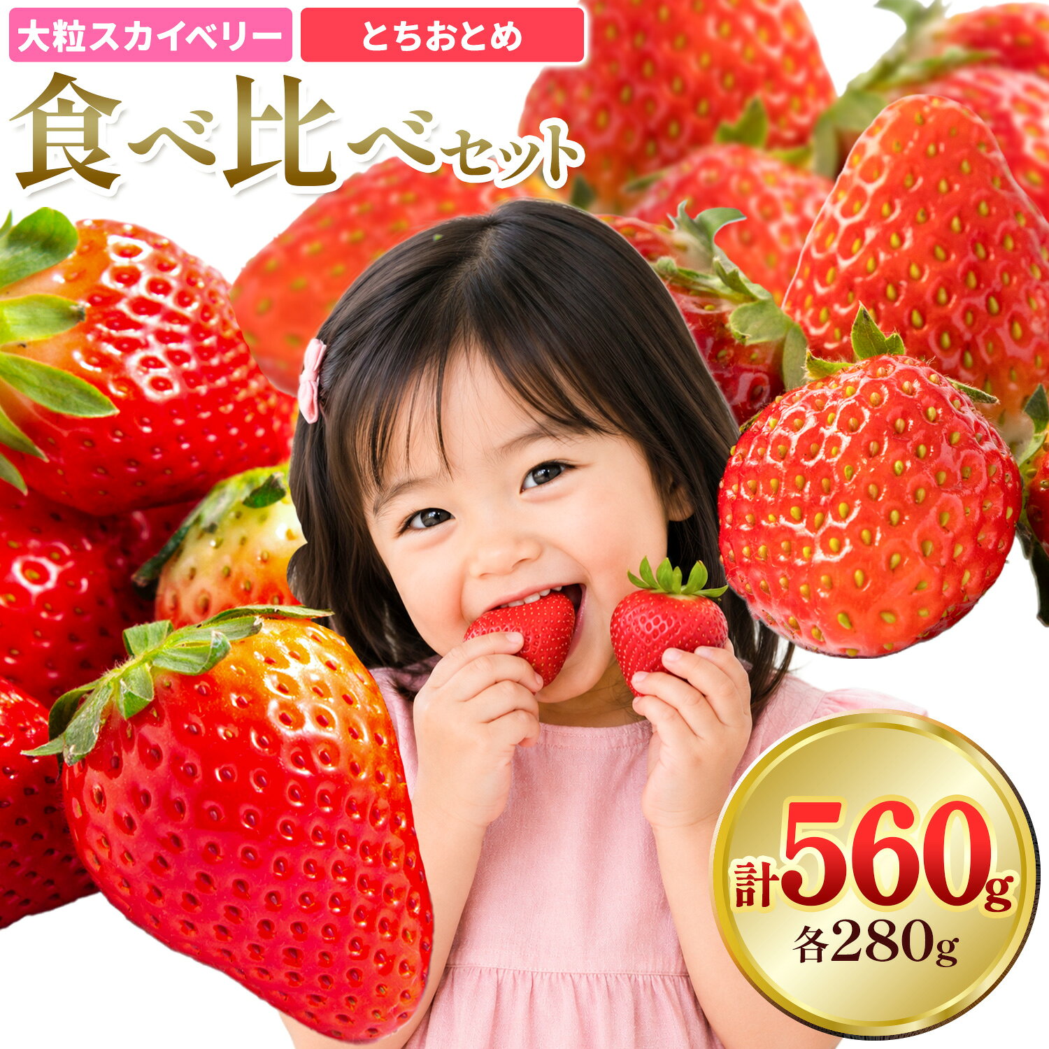 【ふるさと納税】大粒スカイベリー & とちおとめ 食べ比べ セット 各約280g 計約560g 株式会社澳原いちご農園《2026年12月下旬-2027年5月中旬頃出荷》栃木県 野木町 イチゴ 苺 スカイベリー とちおとめ 果物 フルーツ スイーツ【配送不可地域あり】(沖縄・離島)