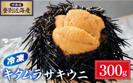 登別近海産冷凍キタムラサキウニ（パック詰）300g 【6月以降順次配送】 [mh-0775]
