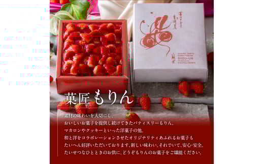 甘さ控えめ!もりんの苺のモンブラン