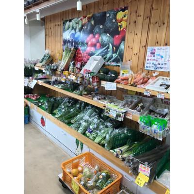 ふるさと納税 高崎市 季節の野菜詰め合わせ |  | 02