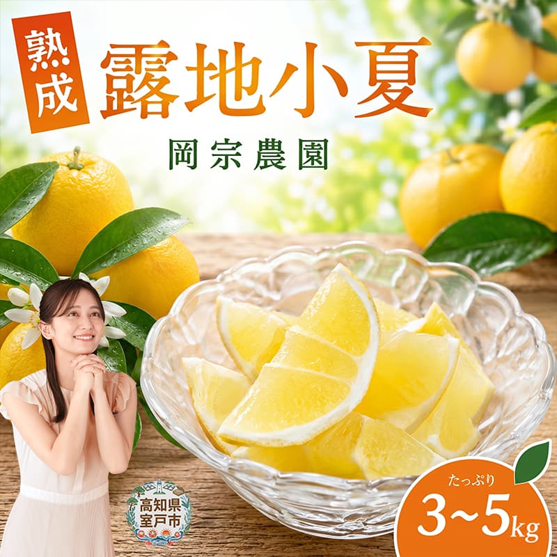 【ふるさと納税】 【2026年5月より発送】 熟成 露地小夏 3～5kg | 小夏 柑橘 フルーツ ジューシー 果物 期間限定 旬の果物 ご家庭用 国産 生産者 農家 直送 高知県 室戸市