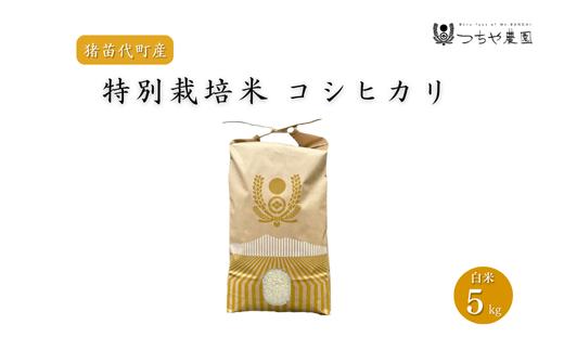 【令和7年度産 新米】 つちや農園 猪苗代町産 特別栽培米コシヒカリ 5kg（精米）| お米 米 こしひかり ※2025年11月上旬頃より順次発送予定