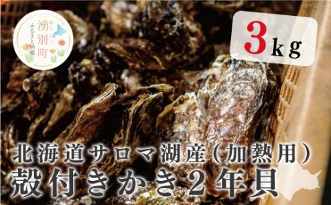 【国内消費拡大求む】北海道サロマ湖産殻付かき（加熱用）2年貝　3kg　牡蠣　かき　カキ　殻付き　海鮮　魚介　国産　貝付き　冷蔵　海のミルク　産地直送　オホーツク　おほーつく　湧別町　北海道