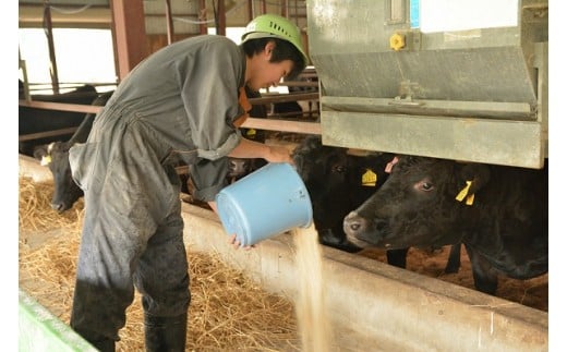 うしちゃんの花巻黄金和牛ギフトC　贅沢3点セット【991】