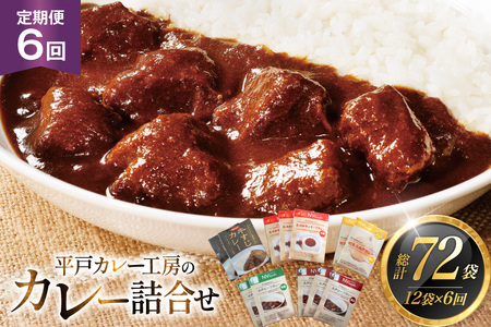 カレー セット カレー 5種 計12袋 セット 6回 定期便 [カレー工房NVfoods 長崎県 平戸市 hr42bgy400058]