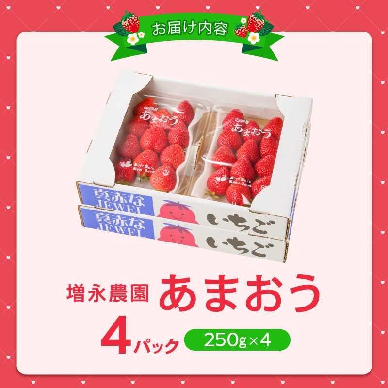 【2027年1月より順次発送】増永農園　福岡県産あまおう　250g×4パック _ 4パック 高級特産品 あまおう 福岡県産 朝採れ 新鮮 こだわり いちご とれたて ブランドいちご フルーツ 果物 デ