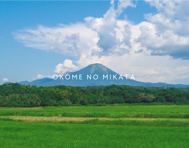 新米 令和6年産 鳥取県産コシヒカリ 5kg 返礼品 米 お米 おこめ こめ こしひかり おこめのみかた 鳥取県日野町