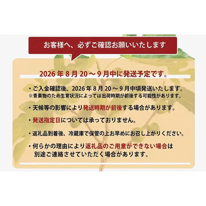 ＜2026年8月以降発送＞とよみつひめ ４パック約1200gセット（福岡市） | フルーツ 果物 くだもの 食品 人気 おすすめ 送料無料