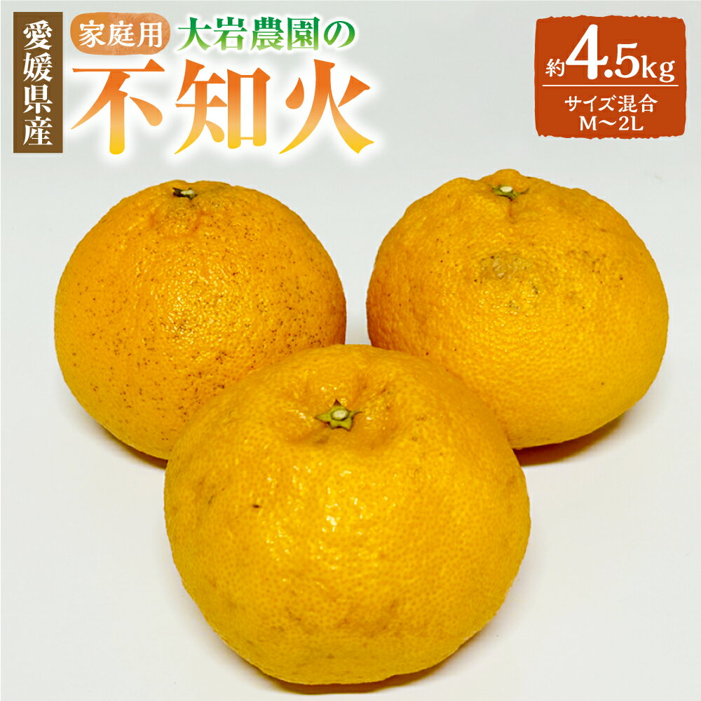 【ふるさと納税】大岩農園の不知火 家庭用 約4.5kg M～2Lサイズ 不知火 しらぬい みかん 蜜柑 柑橘類 柑橘 フルーツ 果物 くだもの お取り寄せ 愛媛県 送料無料 (490)【2027年2月下旬-3月下旬発送予定】【えひめの町（超）推し！（伊方町）】