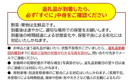 長野県産 冷凍ブルーベリー 約1㎏（2026年8月～2027年1月出荷／沖縄・離島は配送不可） ベリー