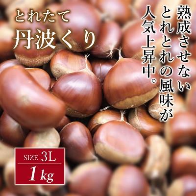 ふるさと納税 京丹波町 とれたて 丹波くり 3L 1kg(京都 京丹波町産 生栗)
