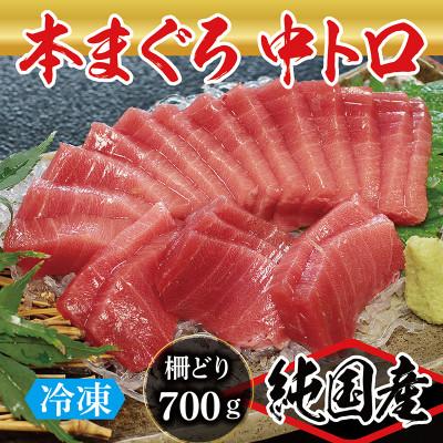 ふるさと納税 越前市 本まぐろ 中トロ 700g(柵どり)