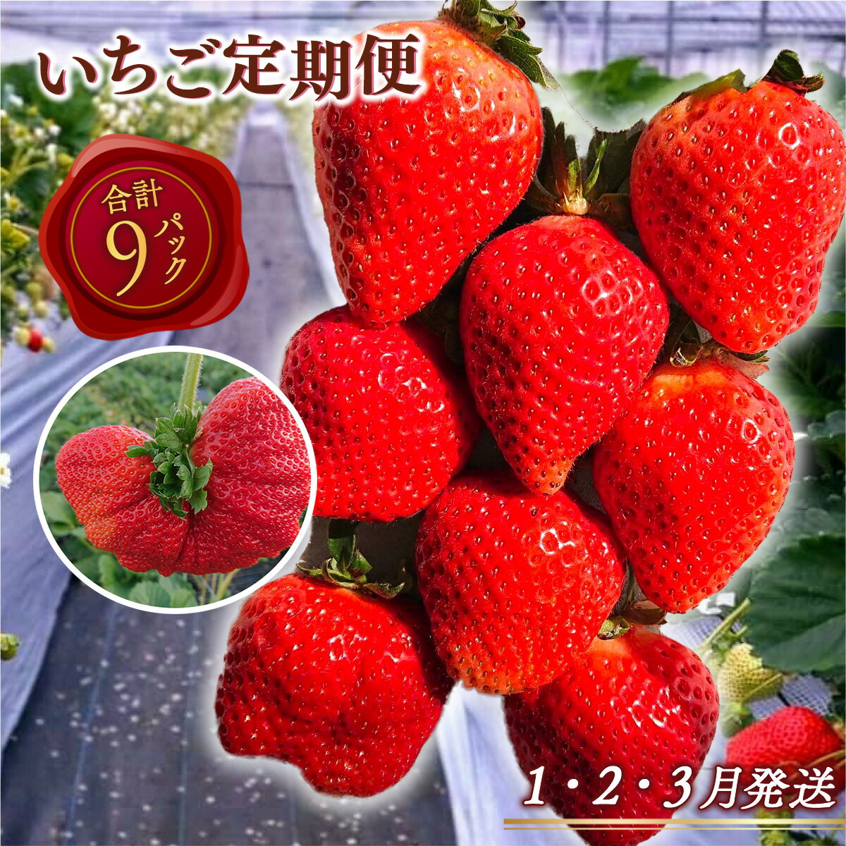 【ふるさと納税】【期間限定発送】 いちご 定期便 あまおう デラックス 3p 3回 総計9p [THE FARM_strawberry 福岡県 宇美町 um40azo780004] イチゴ 苺 フルーツ 果実 甘い 小分け