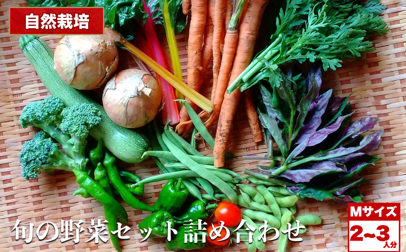 
                  自然栽培 旬の野菜セット 詰め合わせ Mサイズ 2～3人分 くわのみ農園 ｜ 野菜 セット 詰め合わせ 自然栽培 栽培期間中農薬不使用 旬 やさい サラダ 採れたて とれたて 新鮮 季節限定 長野県 飯田市 信州
                