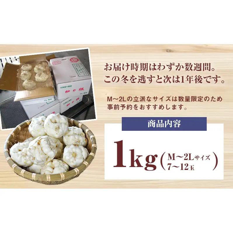 2026年10月発送 先行予約 十勝「忠類ゆり根」1kg (7～12玉) M～2L［JA忠類］【 ゆり根 百合根 高級食材 お正月 贈答 ギフト 根菜 冬の味覚 北海道 幕別 】