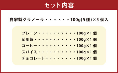 自家製グラノーラ 5種 詰め合わせ 100g×6個入り 計600g グラノーラ プレーン 菊川茶 コーヒー スパイス チョコレート オートミール シリアル 朝食 おやつ お菓子 スイーツ セット