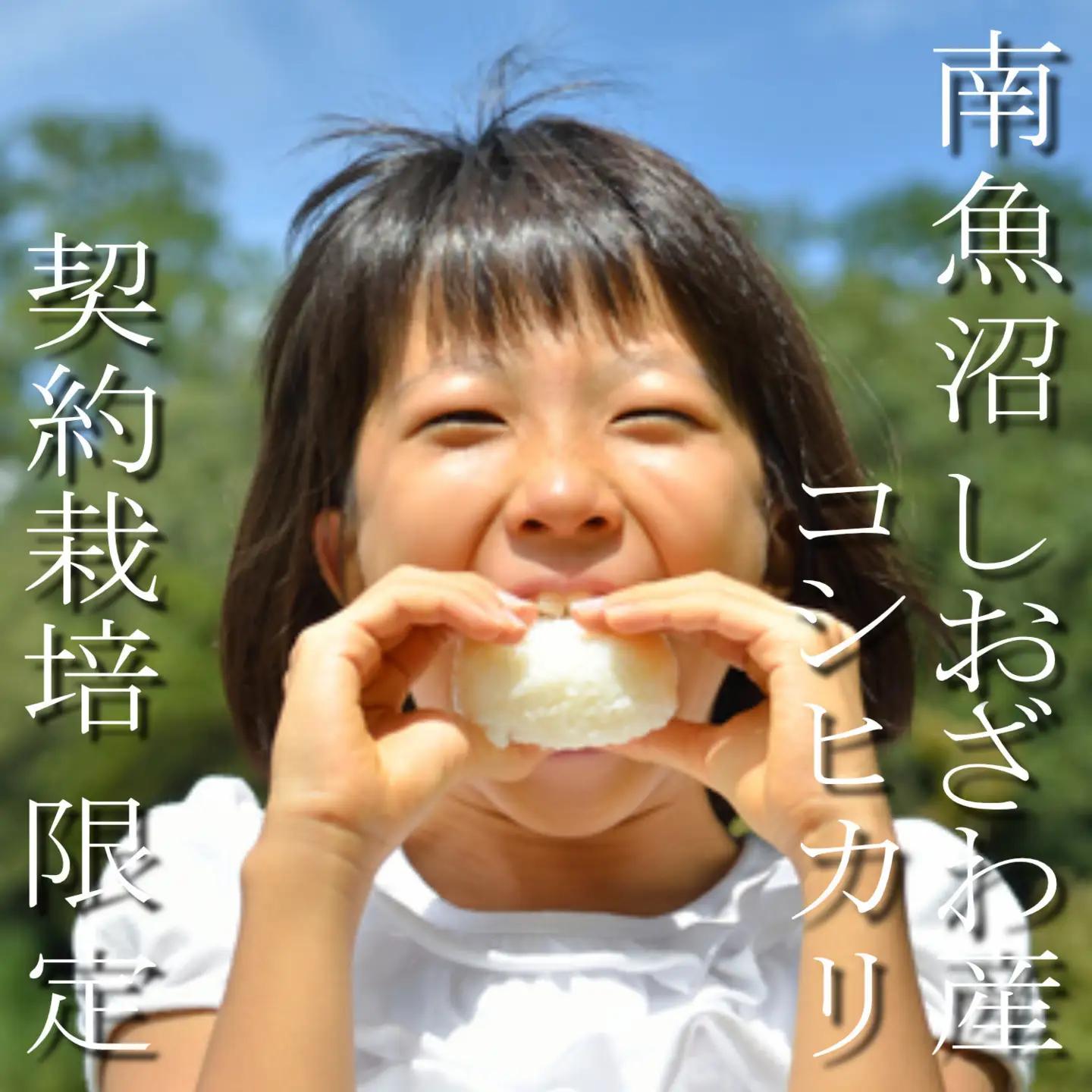 【令和8年　新米予約】定期便3ヶ月：精米5Kg 契約栽培限定 南魚沼しおざわ産コシヒカリ【2026年10月上旬から1ヶ月以内に順次発送予定】｜コシヒカリ