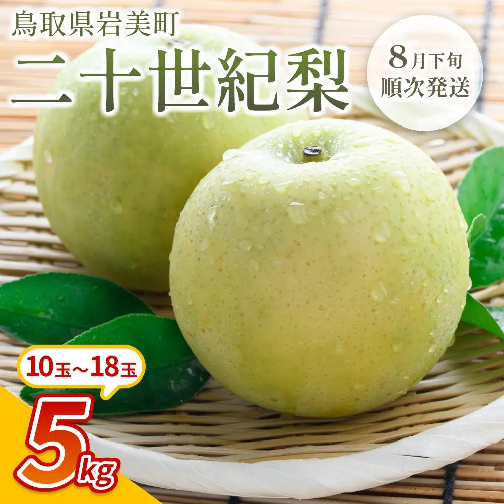 【先行予約】中野農園 梨 ”二十世紀梨” 5kg箱｜鳥取 岩美 梨 なし ナシ※お届けは2026年8月下旬以降【41026】