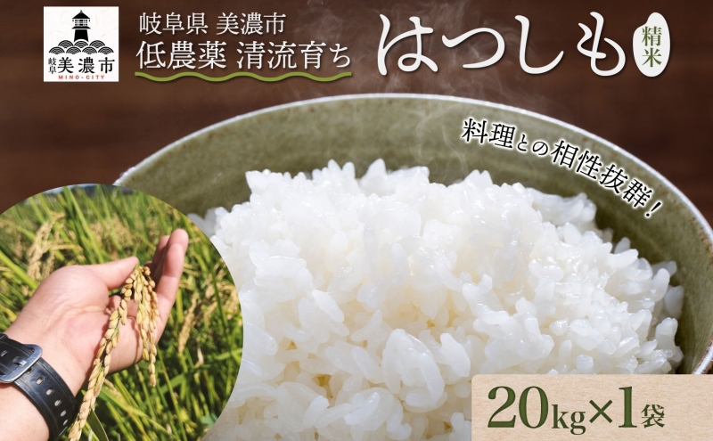 【先行予約】令和7年産 低農薬 清流育ち はつしも 精米 20kg×1袋 計20kg 新米 お米 精白米 白米 米 ごはん 米 ご飯 ハツシモ あっさり ブランド米 大粒 美濃グリーン 岐阜県 美濃市