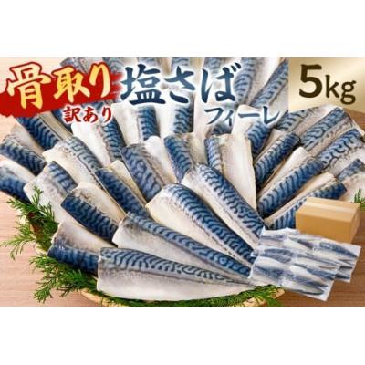 ふるさと納税 南房総市 【訳あり】骨取り塩さば　フィーレ5kg(1kg×5袋)