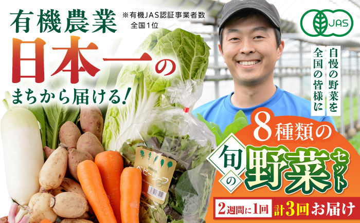 【全3回隔週定期便】有機野菜 8種セット 詰め合わせ 熊本県産 山都町産 産地直送 オーガニック 熊本県産有機野菜 山都町産有機野菜 産地直送 高原野菜 新鮮有機野菜 採れたて有機野菜 旬 有機野菜セット 有機野菜食べ比べ 九州産有機野菜 有機野菜 オーガニック【株式会社 肥後やまと】[YAF010]