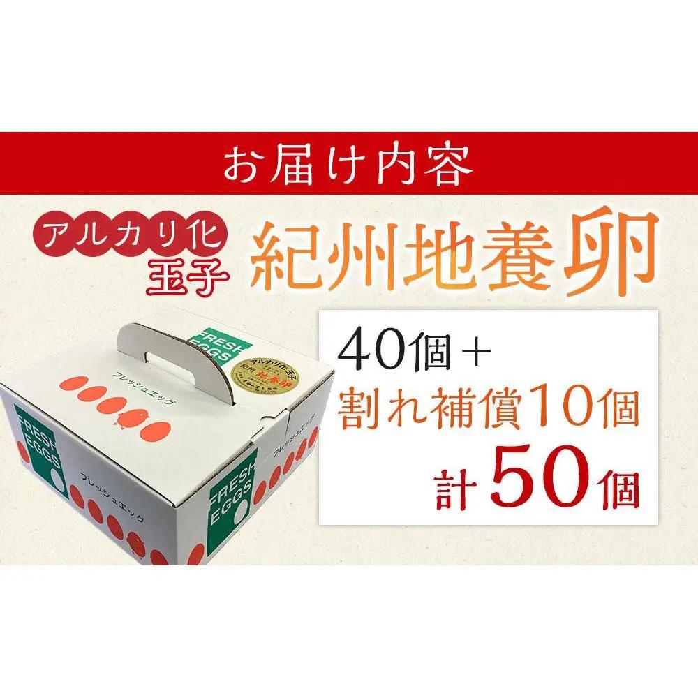 アルカリ化 玉子 紀州地養卵 合計 50個入 (40個＋割れ補償分10個）卵 たまご 玉子 タマゴ 鶏卵 まとめ買い オムレツ 卵かけご飯 朝食 業務用