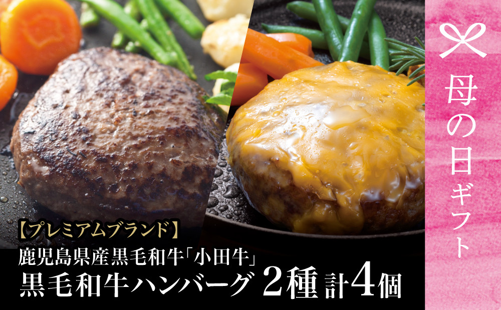 
                  【母の日ギフト】プレミアムブランド 鹿児島県産黒毛和牛「小田牛」 牛肉100％ 2種類のハンバーグステーキ 計4個（120g×各2個）チーズハンバーグ 牛肉 総菜 おかず レトルト 黒毛和牛 小田畜産 冷凍 南さつま市 贈り物 ギフト 贈答用
                