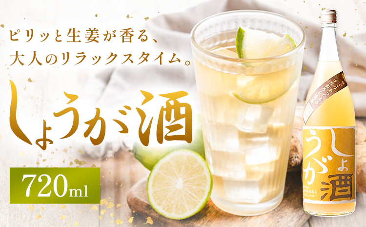 酒 しょうが酒 生姜 お酒 720ml 酒のねごろっく《2025年11月上旬-2026年4月末頃に出荷予定(土日祝除く)》和歌山県 岩出市 お酒 さけ アルコール しょうが 日本酒 お取り寄せ